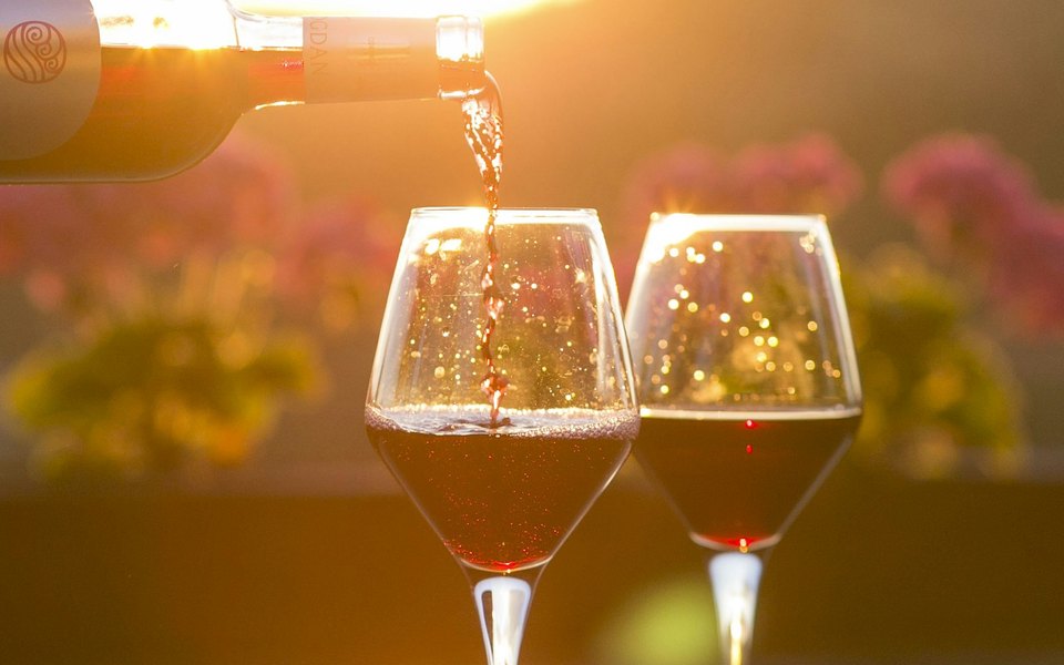 Atardecer entre viñas