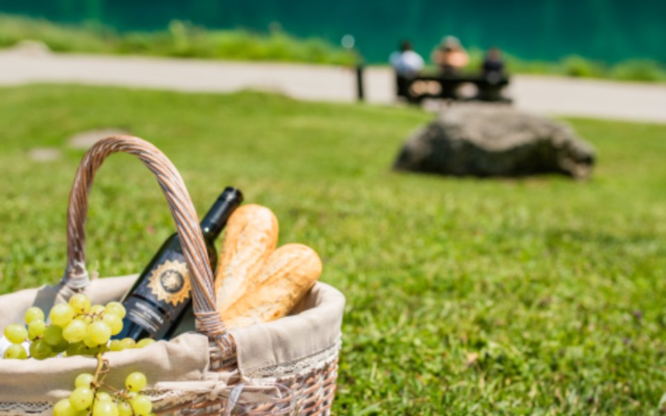 Día de finca · Picnic entre viñas